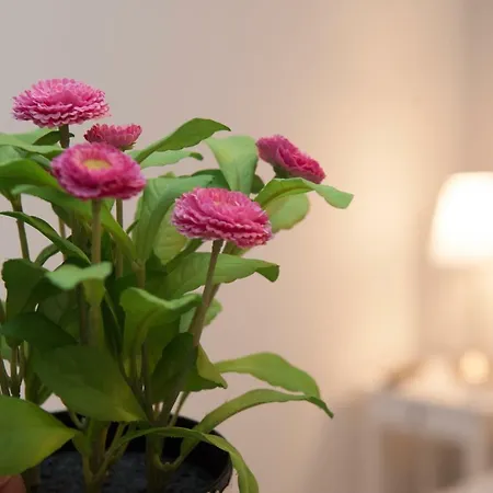 Borgo Antico Bed & Breakfast