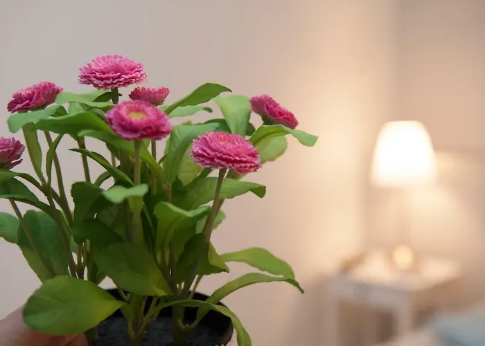 Borgo Antico Bed & Breakfast